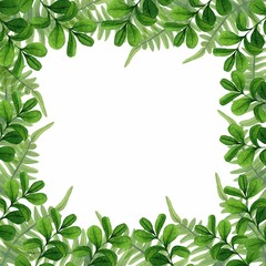 Frame from lingonberry leaves and ferns with copy space. Forest wildlife scene. Watercolor hand drawn illustration on white background. Template for design botanical illustrations.