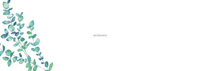 水彩画。水彩タッチのユーカリベクターイラスト。ユーカリの葉の背景。ナチュラル草木イラスト。Watercolor painting. Eucalyptus vector illustration with watercolor touch. Eucalyptus leaves background. Natural grass and trees illustration. © necomammma