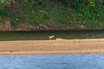 Kunthi River