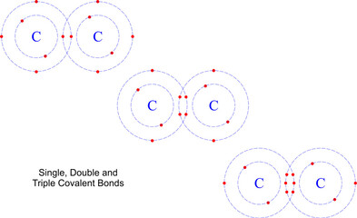 Covalent Bonds