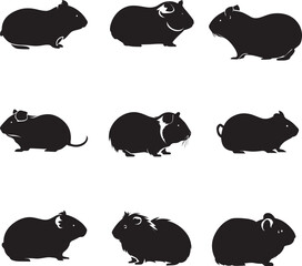 Fototapeta premium Abyssinian guinea pig vector silhouette 
