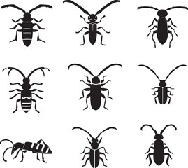 African Sugarcane Borer vector silhouette