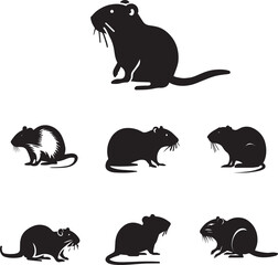 Agouti vector silhouette illustration black color