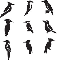Woodpecker vector silhouette illustration black color