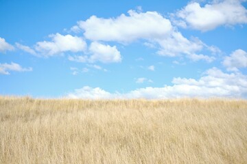
Minimalistic landscape of blue skies with fluffy white clouds and a yellow grass field —...