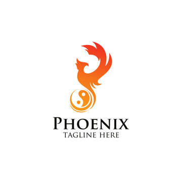 Minimalist modern Phoenix logo with yin and yang symbol