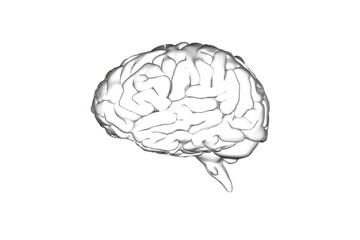 Digital png illustration of human brain on transparent background
