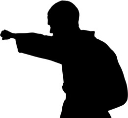 Digital png silhouette illustration of sportsman practising martial arts on transparent background