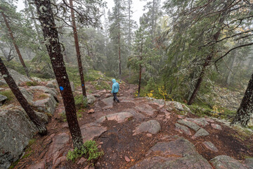 hiking footpath in forest between trees in Skuleskogen National Park in Sweden in northern Europe Hoga Kusten