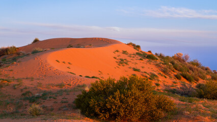 Fototapeta na wymiar The snaking ridge of a red sand dune near Birdsville in Queensland, Australia.