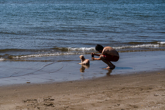 Hombre en la playa tom&aacute;ndole una foto a un perro malt&eacute;s que descansa en la arena mientras aprecia la inmensidad del mar.