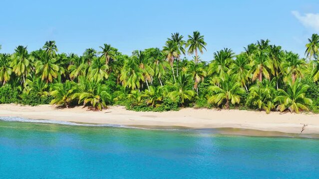 Bottom Bay, Barbados - Paradise beach on the Caribbean island of Barbados. Tropical shore with palm trees hanging over the turquoise sea. A picturesque view of a beautiful landscape.
