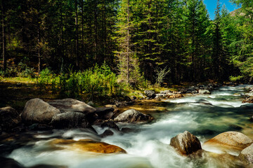 Forest river landscape in Altai mountains, Siberia. Long exposure on a rapid stream flowing through rocks trees.