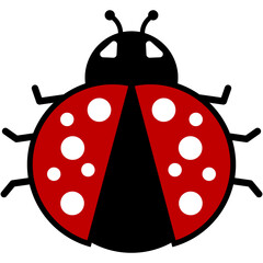 ladybug