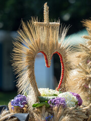 serce ze zboża  © Piotr