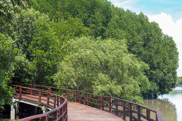 Wooden footpaths in the mangrove forest at Stupa in the middle of river in Rayong and blue sky background.