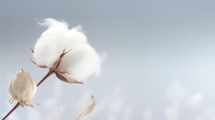  a cotton plant with a sky background in the foreground.  generative ai