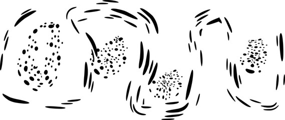 black and white cats