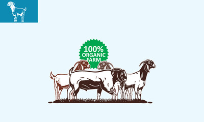 BOER GOAT AND FAMILY LOGO, silhouette of great big ram standing vector illustrations.