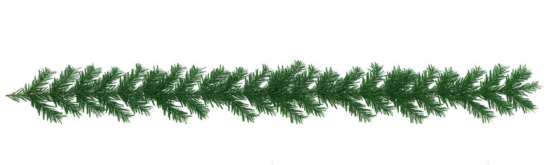 Christmas tree branch border isolated on white transparent background, PNG. Xmas tree Fir pine tree garland  - obrazy, fototapety, plakaty