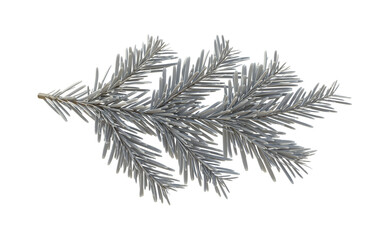 Christmas spruce, silver fir twig isolated on white transparent background, PNG. Xmas pine tree branch 