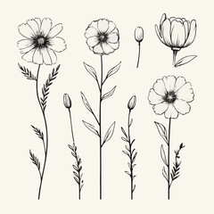 line drawing set of flower, vector art
