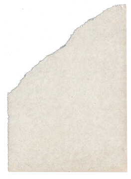 transparent ripped paper edge 