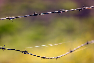 Daily life in France. Agriculture.