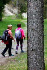 Fototapeta premium Daily life in France. Tourism.