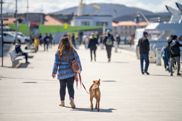 woman walking a dog by a wharf on a leash