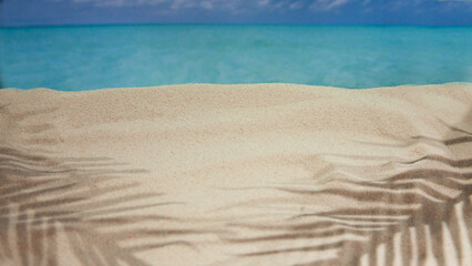 Fototapeta na wymiar sea sand and shells on the beach of a tropical Paradise island under palm trees