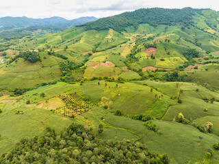 The biggest cause of forest loss is agricultural deforestation ,environmental damage in Southeast Asia , global warming and environment.