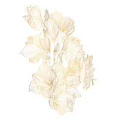 Hand drawn summer tropical bouquet: golden exotic plants, amaryllis flowers, line art. Hand painted flowers isolated on white background for design.