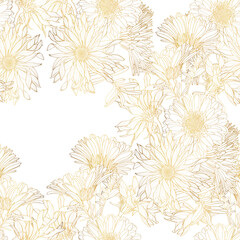 Beautiful backdrop with blooming gerbera chamomile flowers, hand drawn with golden contour lines on white background. Gorgeous floral decoration. Botanical illustration.