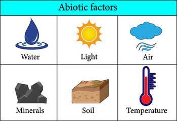 Abiotic Factors in the Environment.Vector illustration