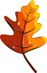 Obraz premium Autumn Leaves Illustration