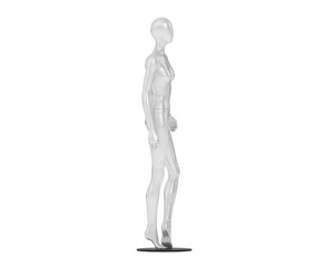 Mannequin isolated on transparent background. 3d rendering - illustration