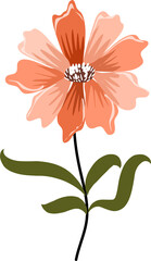 Light Beige Flower