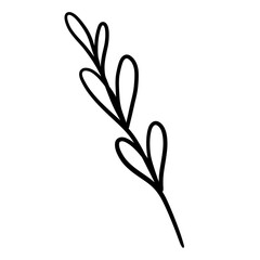 Fototapeta na wymiar Botanical leaf handdrawn doodle isolated on white background