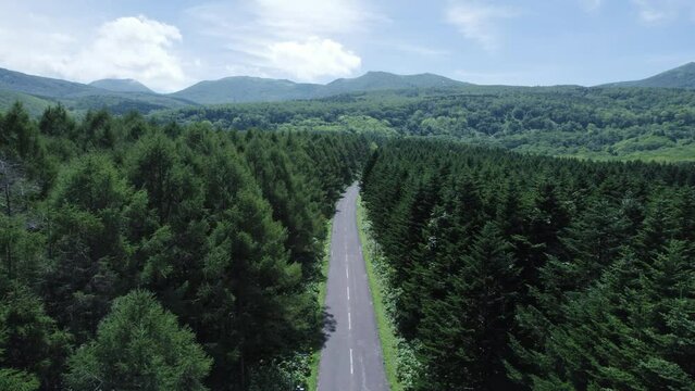 ニセコパノラマラインドローン空撮