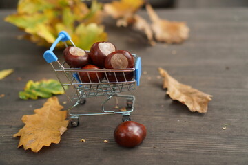 brown horse chestnut fruits in a miniature metal cart on a wooden table against the background of an oak branch with yellow and brown leaves. The concept of weather and autumn shopping