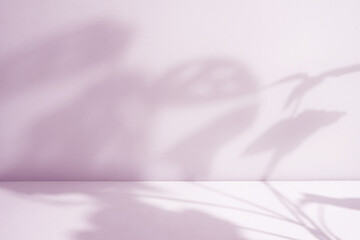 pink room with houseplant shadow