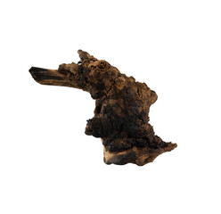 abstract dead wood isolated element