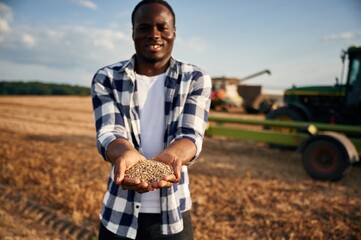 Naklejka na ściany i meble With wheat in hands. Beautiful African American man is in the agricultural field