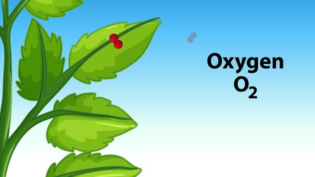 Animation of Oxygen chemical compound (O2) in a nature setting with clouds and plants releasing Oxygen.