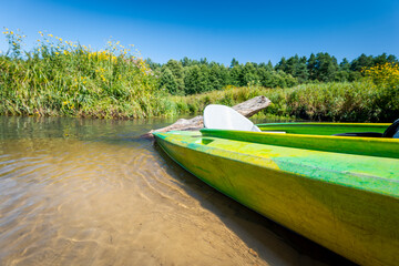 Green kayak on the river. Beautiful sunny day. Sandy yellow river bottom. Blue sky. Wieprz River. Zwierzyniec, Roztocze Region, Poland. - obrazy, fototapety, plakaty