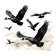 Obraz premium Graceful Geese in cartoon style isolated on a white background