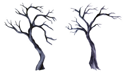 Gray trees and branches. Watercolor hand drawing illustration of old trees.