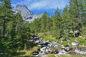 Obraz premium Ruscelli e torrenti sulla salita verso il Parco Naturale Alpe Veglia e Alpe Devero, Valle d'Ossola - Piemonte