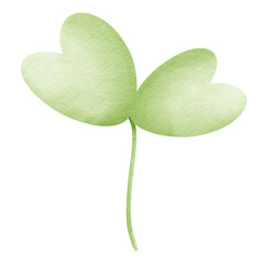 leaf clover